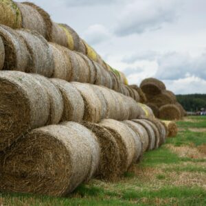 Heurundballen Heu Rundballen Heuballen Pferdeheu Schafe Rinder